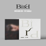 Kim Nam Joo - 1st Single [Bird] - WE ARE KPOP